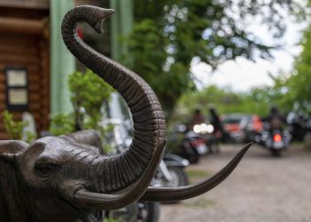 bei 20 jahre voralpenchapter