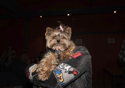 Chapterabend 09-2021