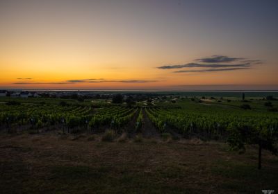 EARLY BIRD RIDE 29.06.2025