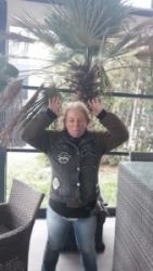 img 20220917 wa0035x300