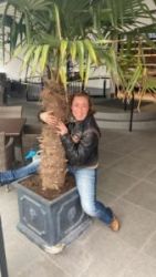 img 20220917 wa0045x300