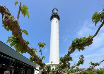 foto 24.05.23  14 38